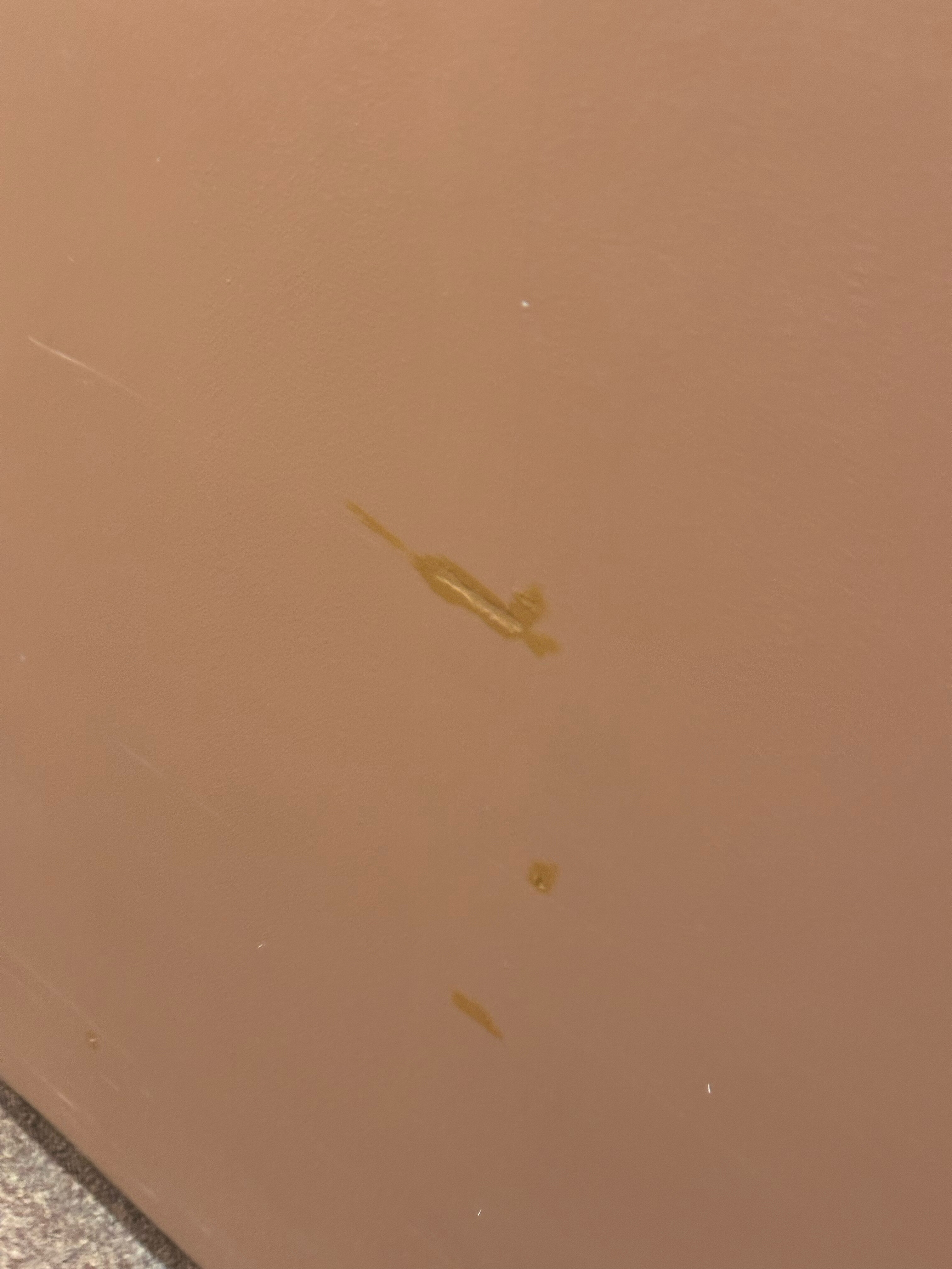 Фото Памир, Тянь-Шань