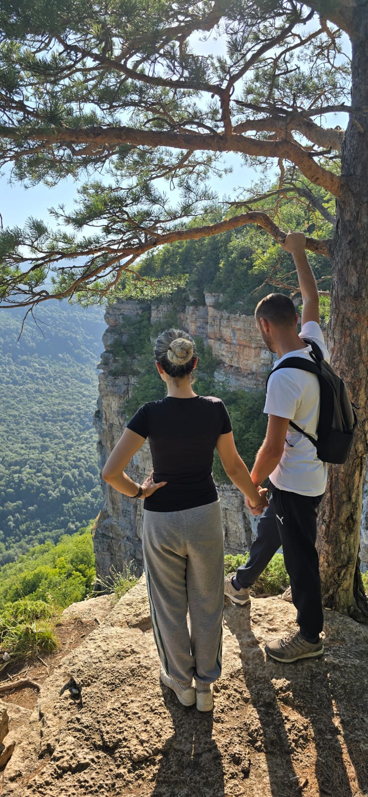 Фото Горная мята