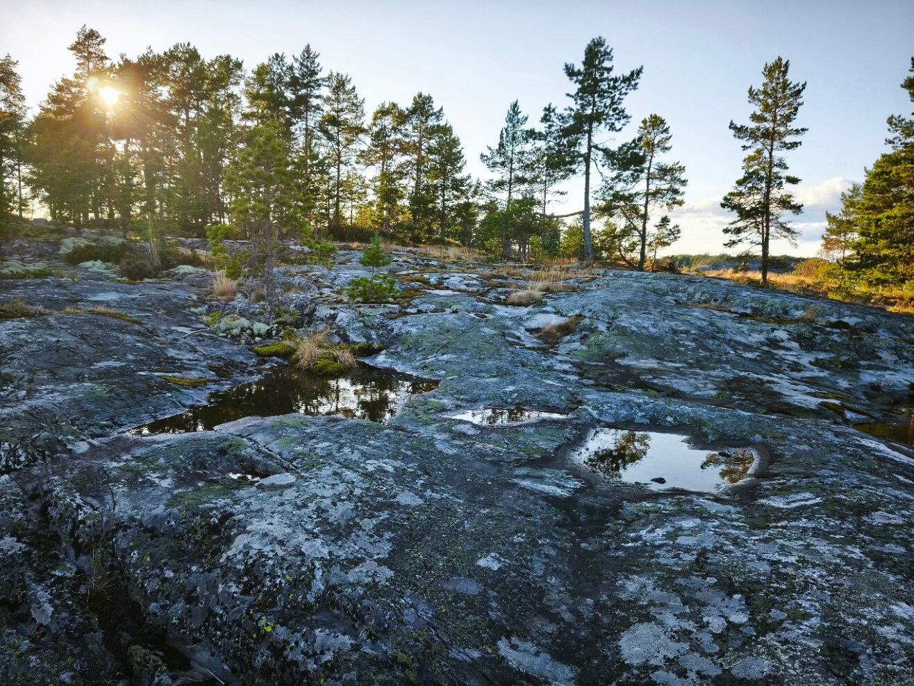 Фото Центр Активного Отдыха Деревня Терву