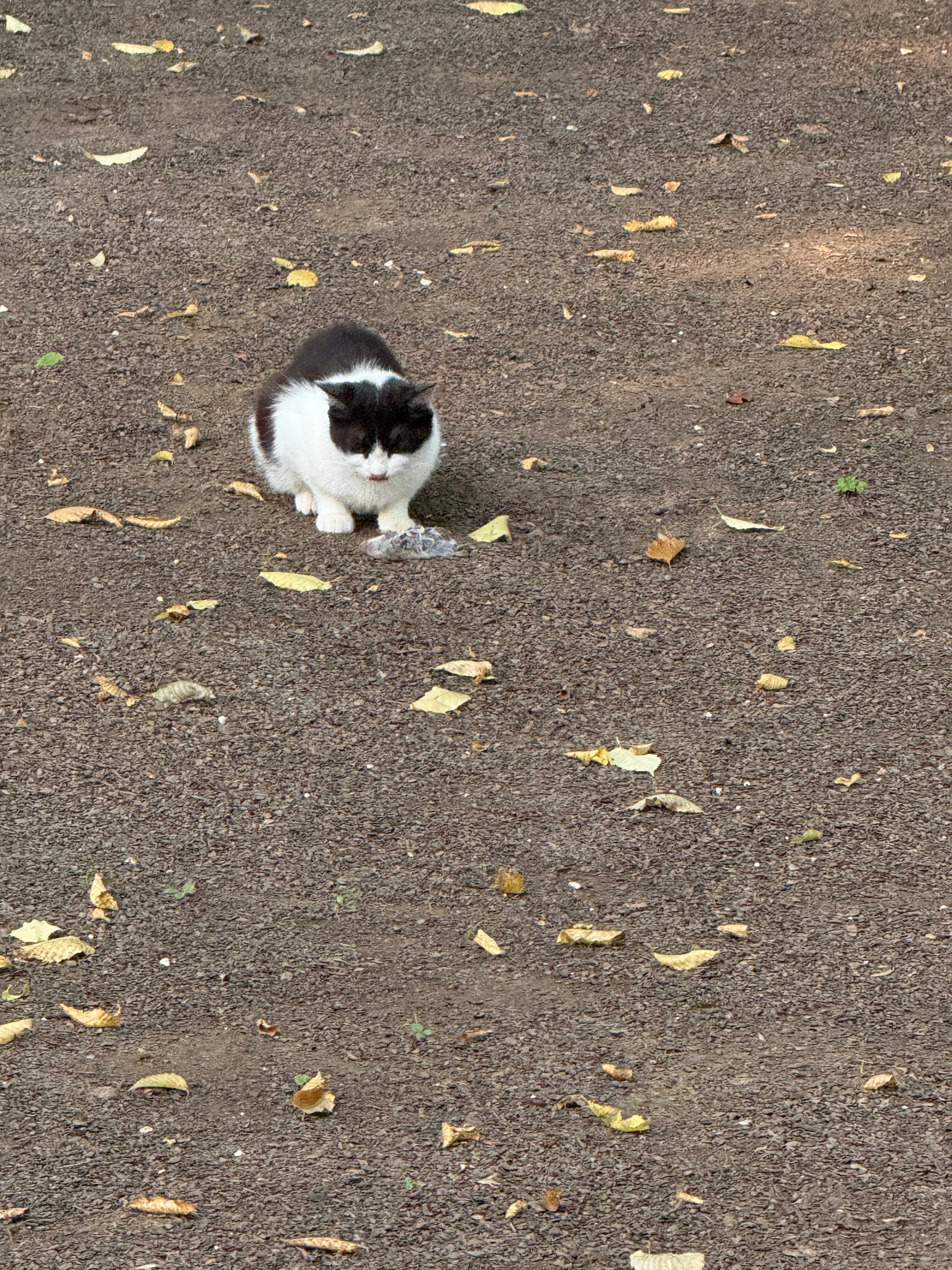Фото Всесезонный курорт Беной