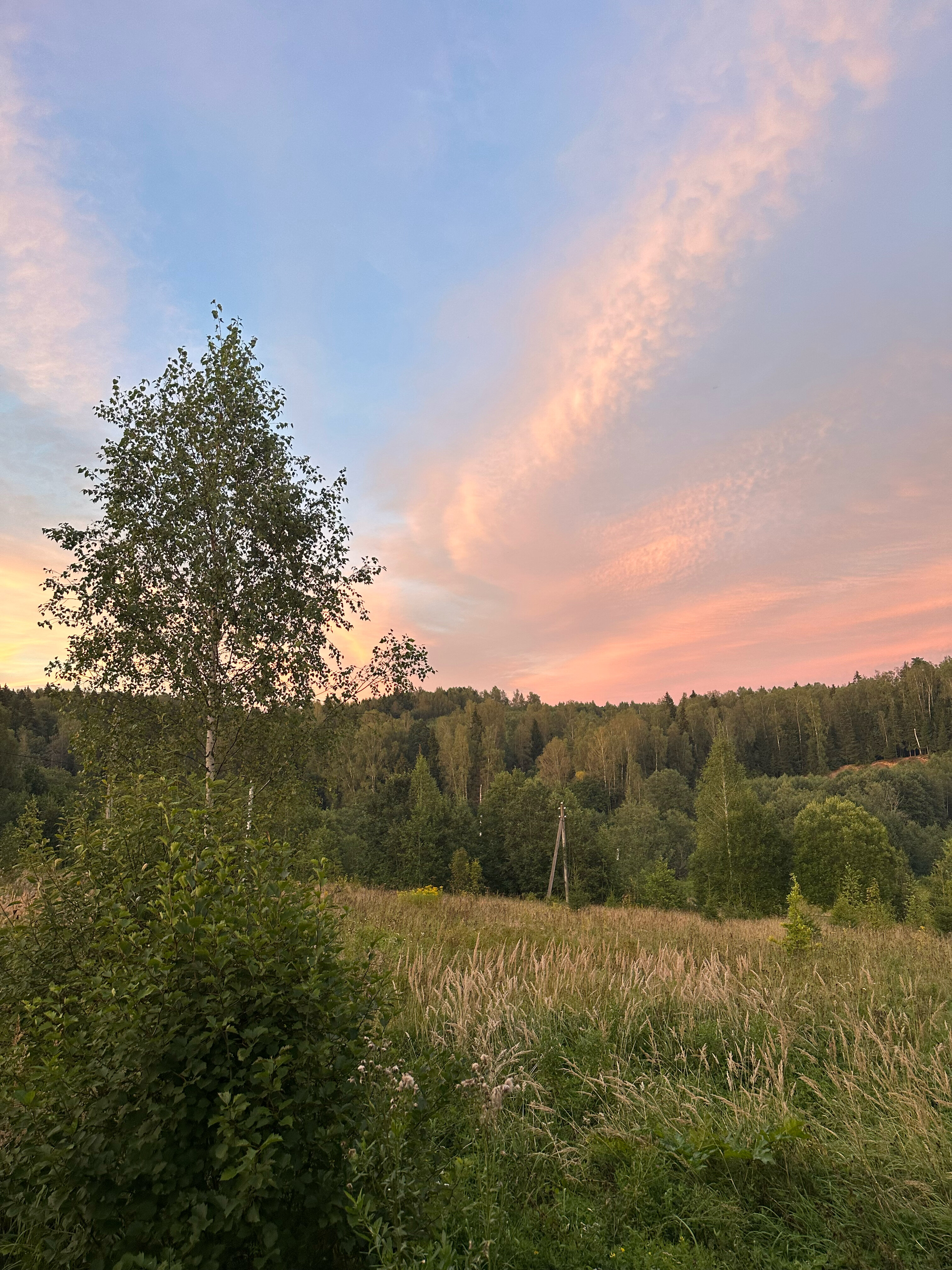 Фото Гостевой комплекс Сычёвки