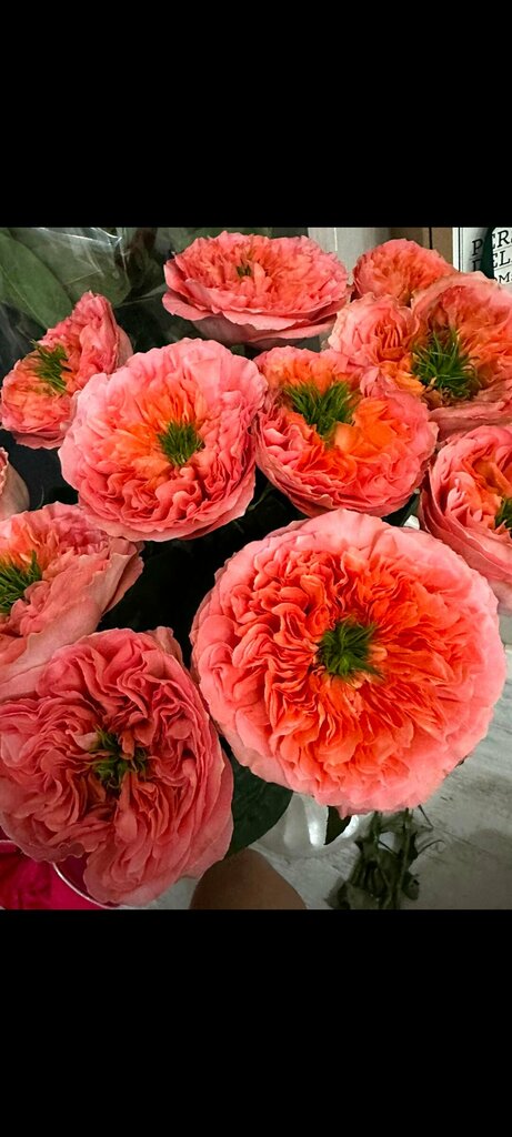 Ирина Химбикиянова