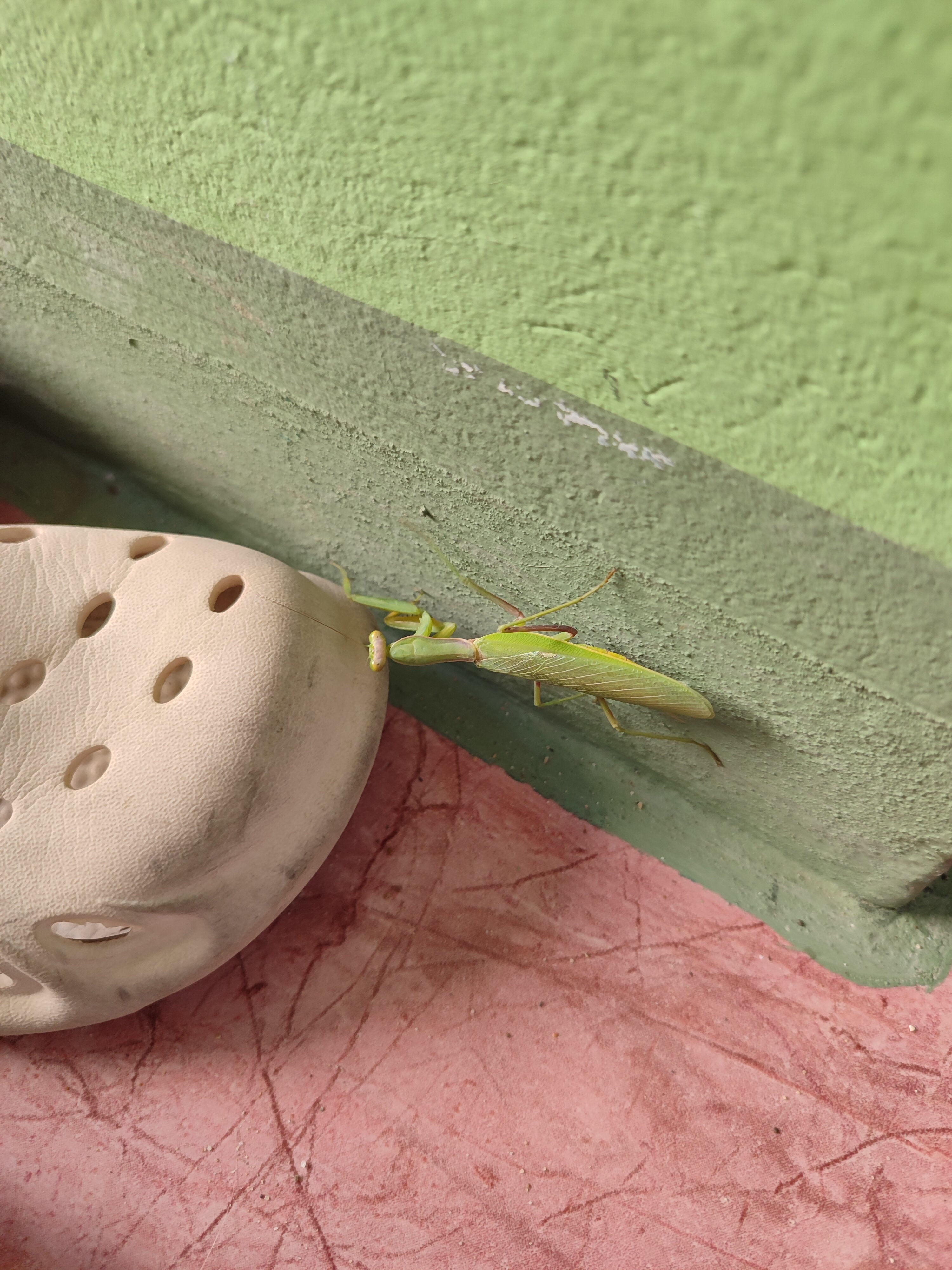 Фото Зеленый дом у маяка