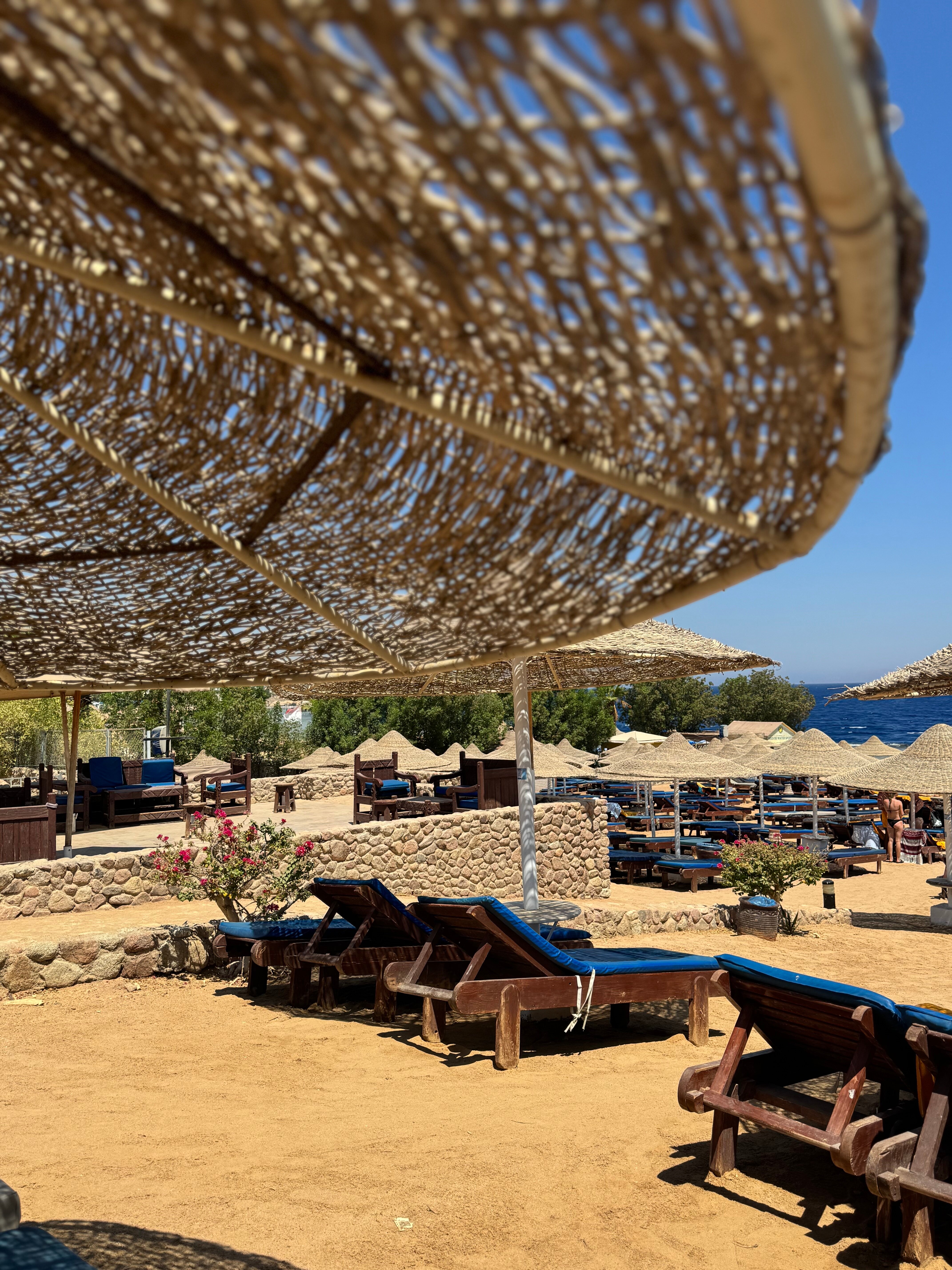 Фото Xperience St. George Homestay