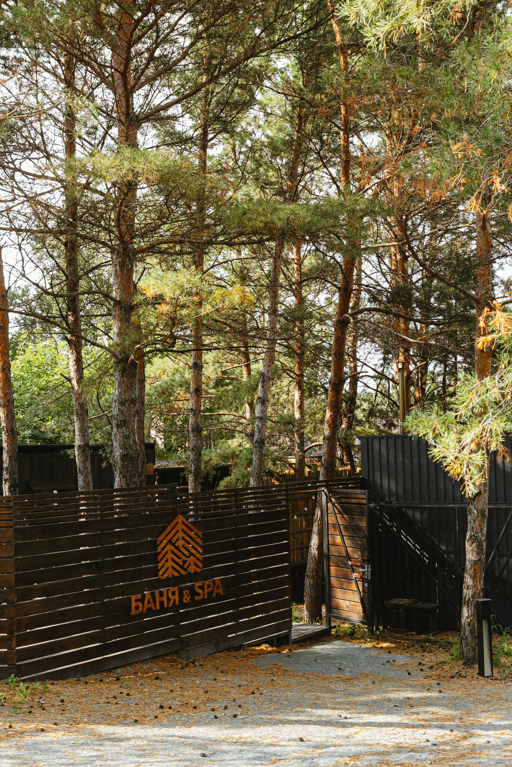 Фото Эко-клуб Шышки