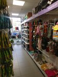 Четыре лапы (ulitsa Gertsena, 14), pet shop