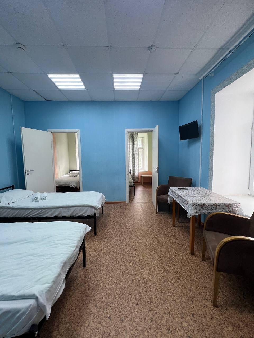 Фото Берёза