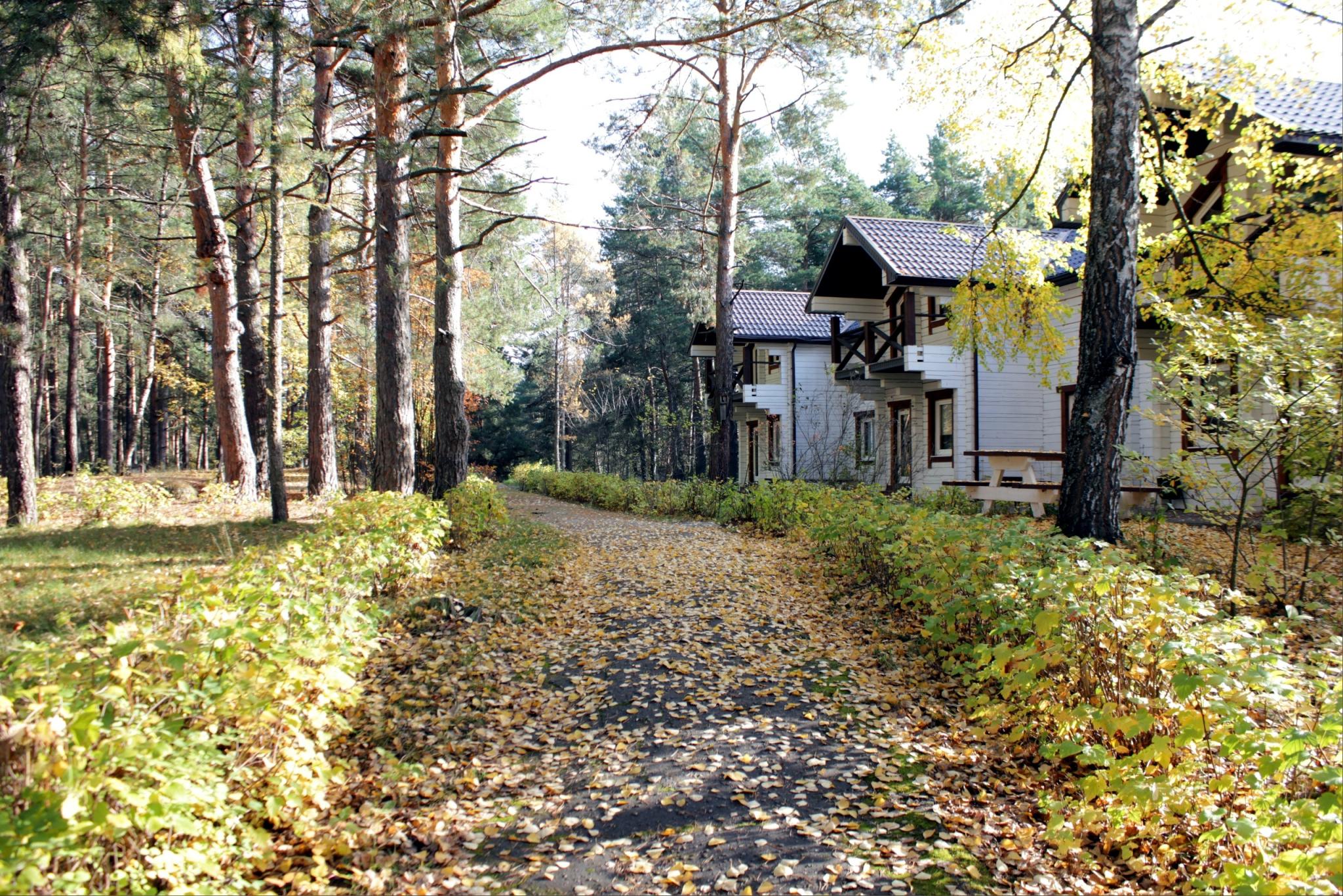 Фото Большая медведица