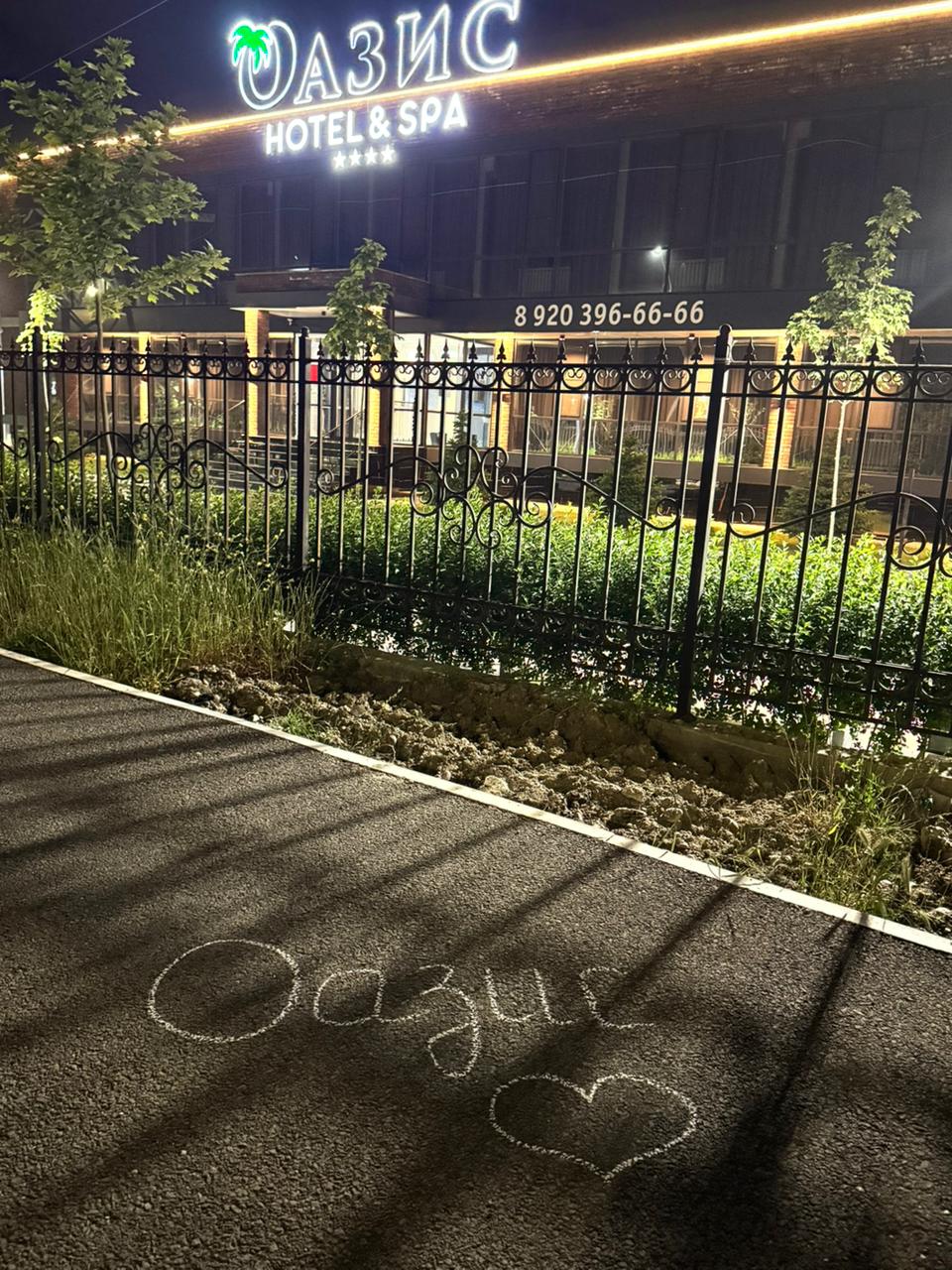Фото Оазис