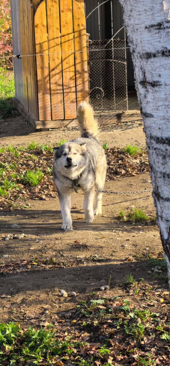 Фото Оздоровительный городок Дружба
