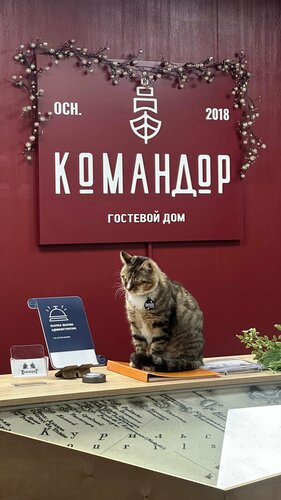 Внешний вид отеля Командор в Петропавловск-Камчатском, фото 3