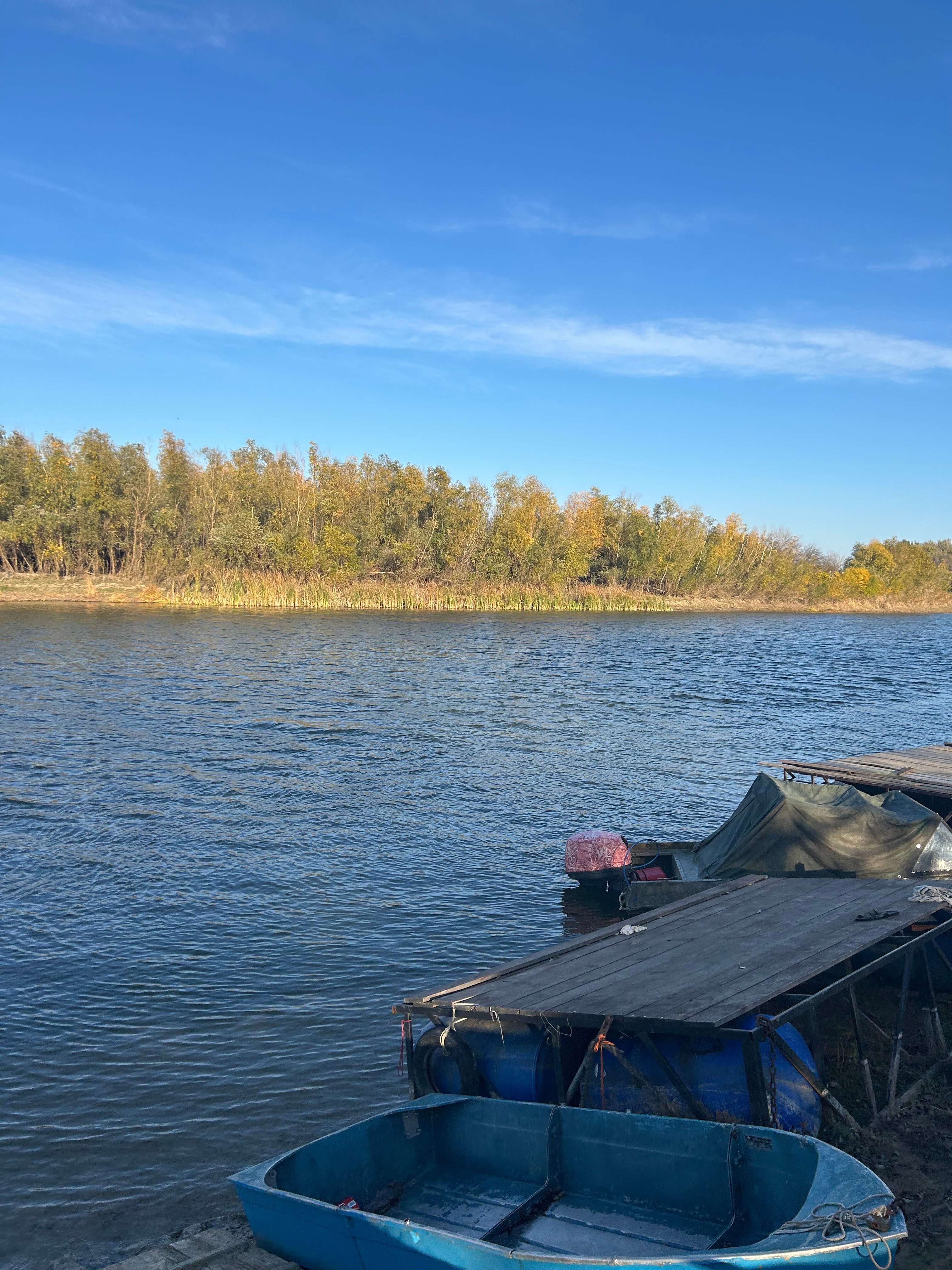 Фото Дикая Земля