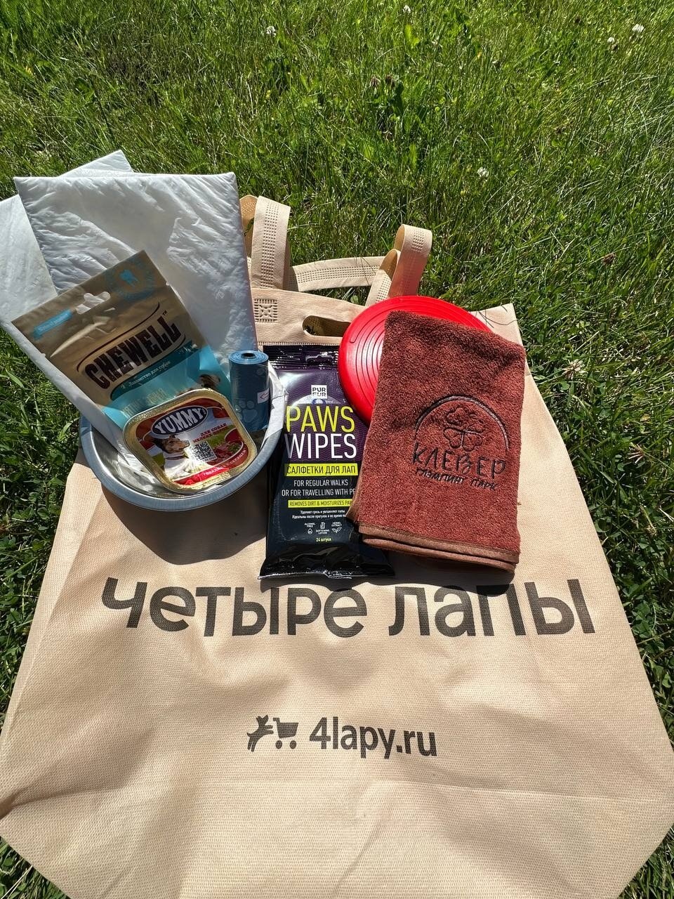 Фото Клевер