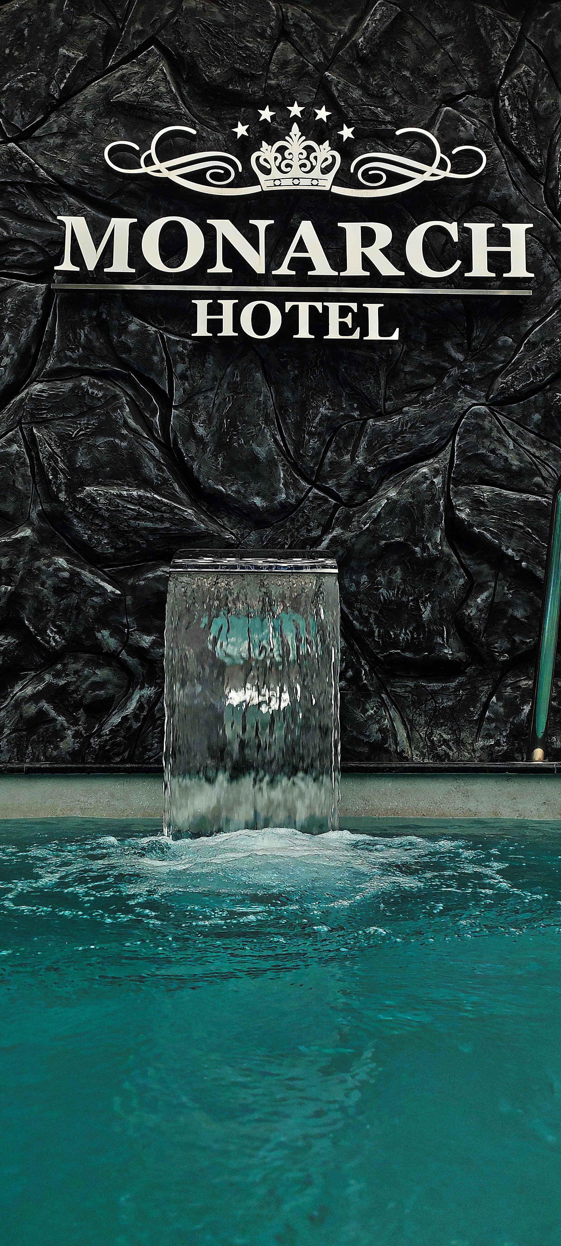 Фото Монарх