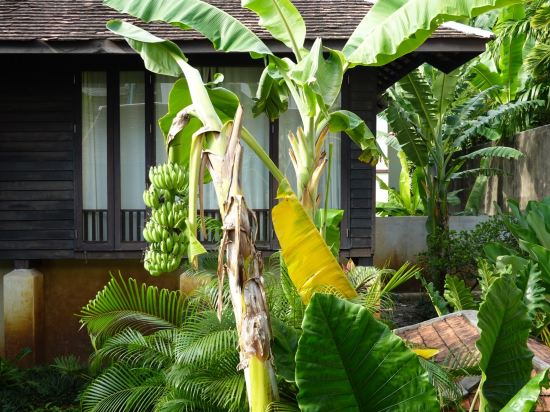 Фото Baan Saen Fang