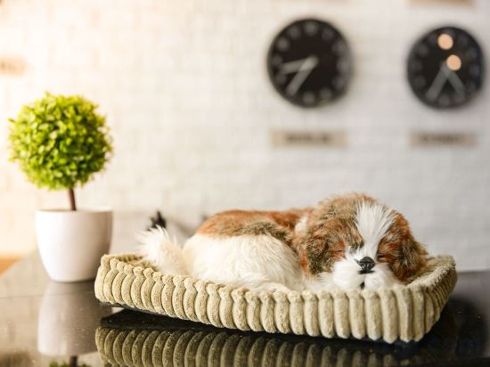 Фото The Cube Hostel