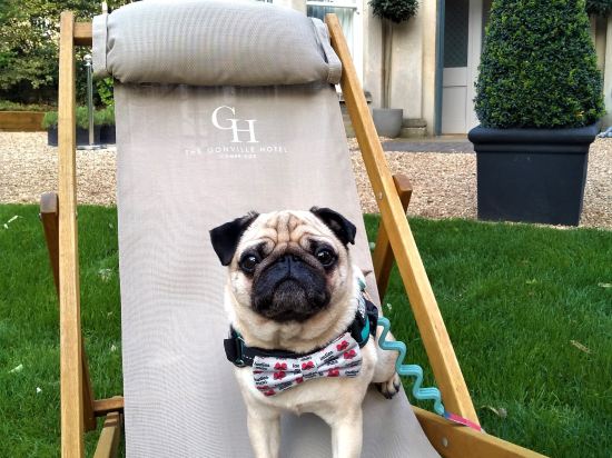 Фото Gonville Hotel