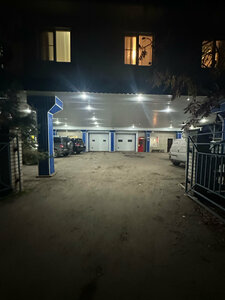Оазис