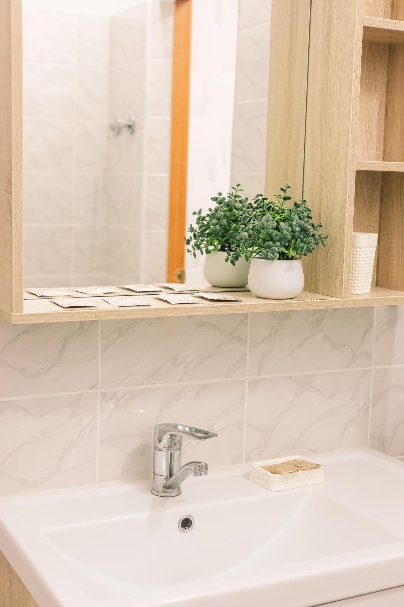 Фото Новый Континент