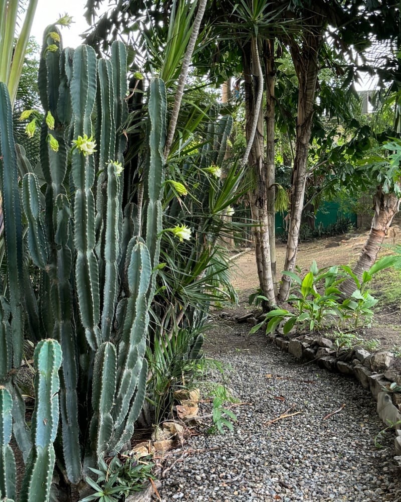 Фото Metrotel Express