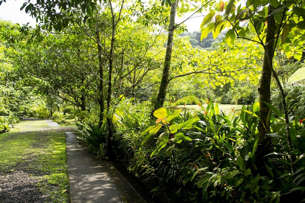 Фото Lands in Love Hotel