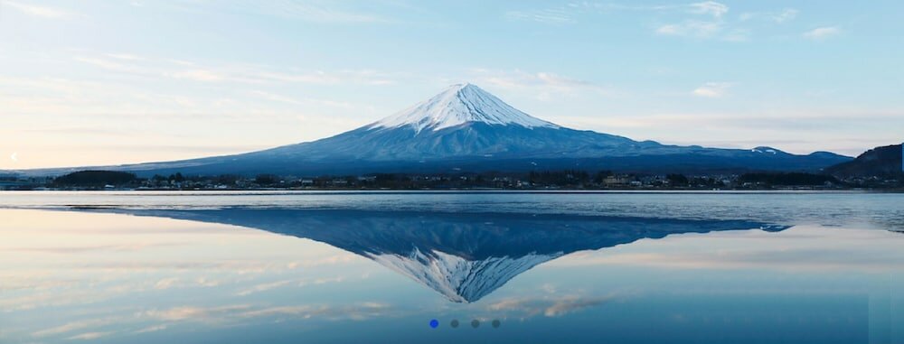 Фото Lupinus Kawaguchiko