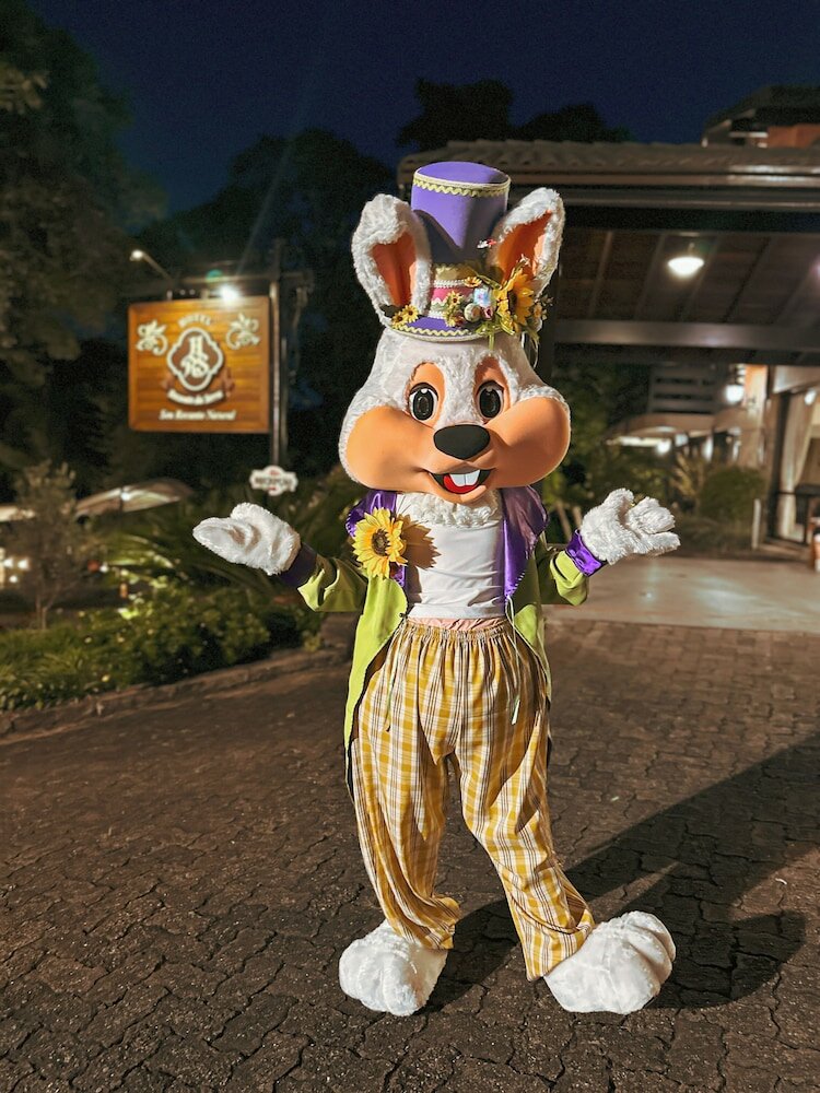 Фото Hotel Recanto da Serra