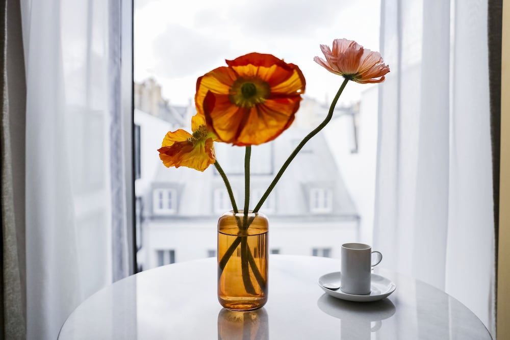 Фото Maison Albar  Le Vendome