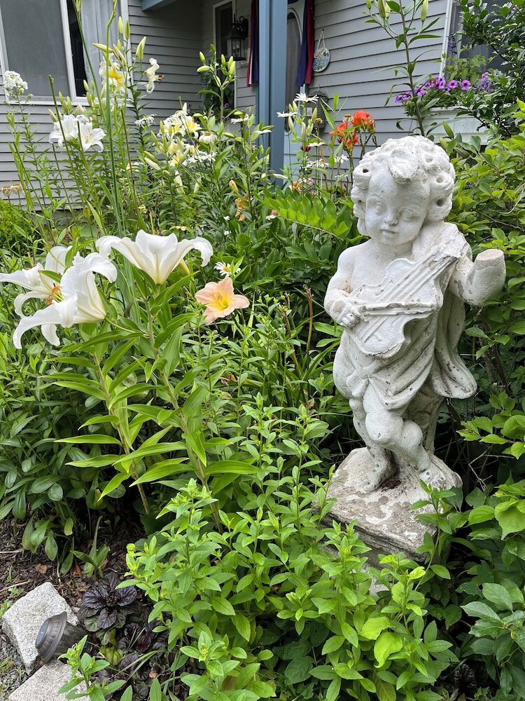 Фото Gardenview Bed and Breakfast