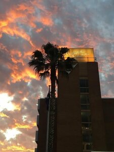 Гостиница Indian Ocean Hotel