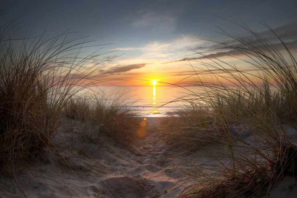 Фото Element Jacksonville Beach