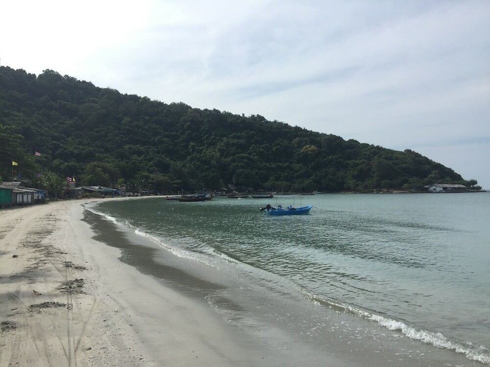 Фото Tree Roots Retreat