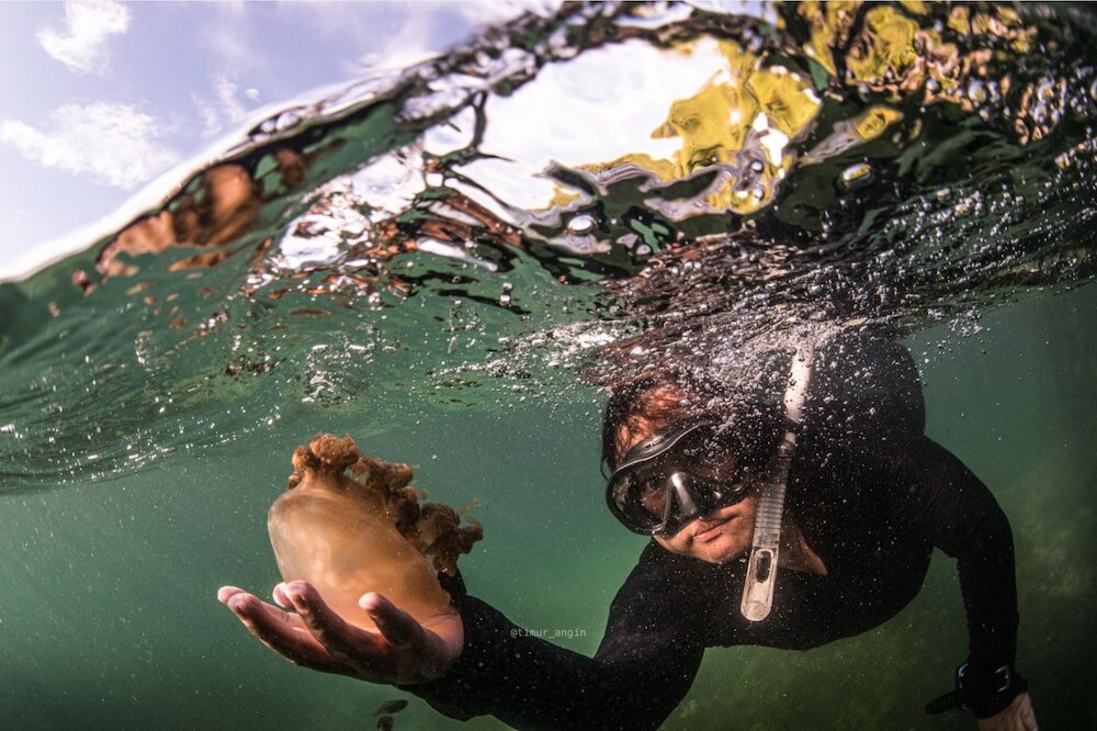 Фото Noah Maratua Resort