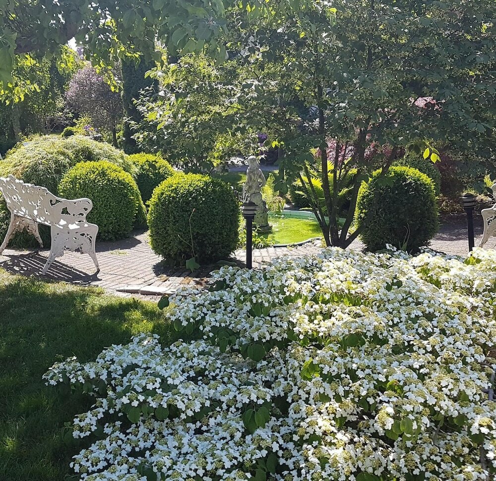 Фото Nya Pallas Hotel