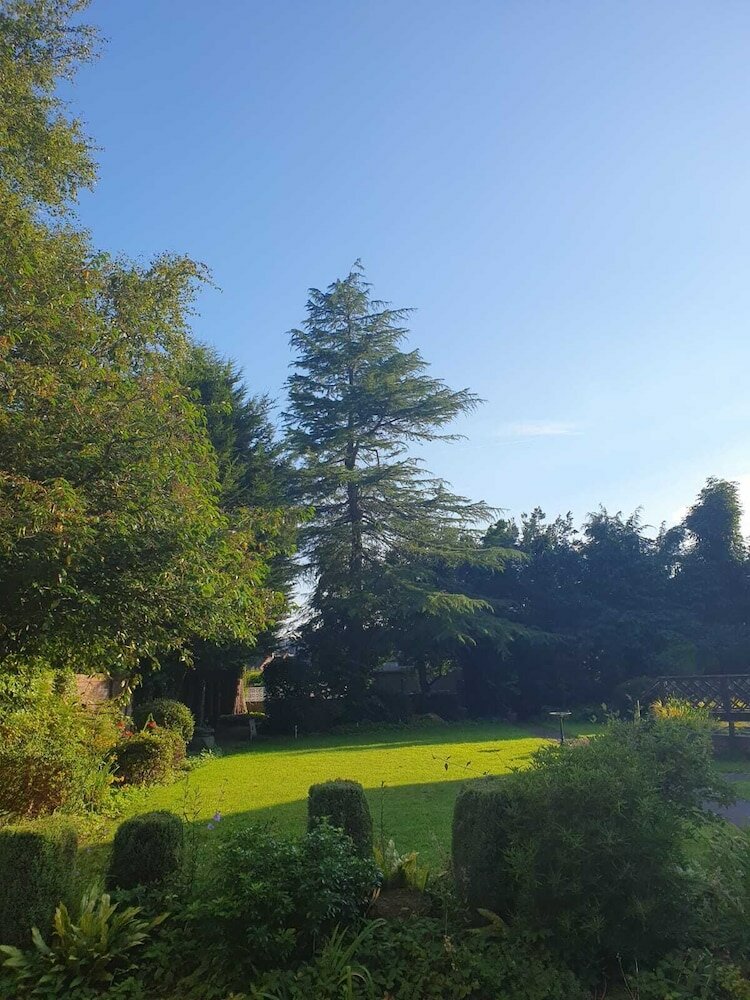 Фото The Manor Guesthouse