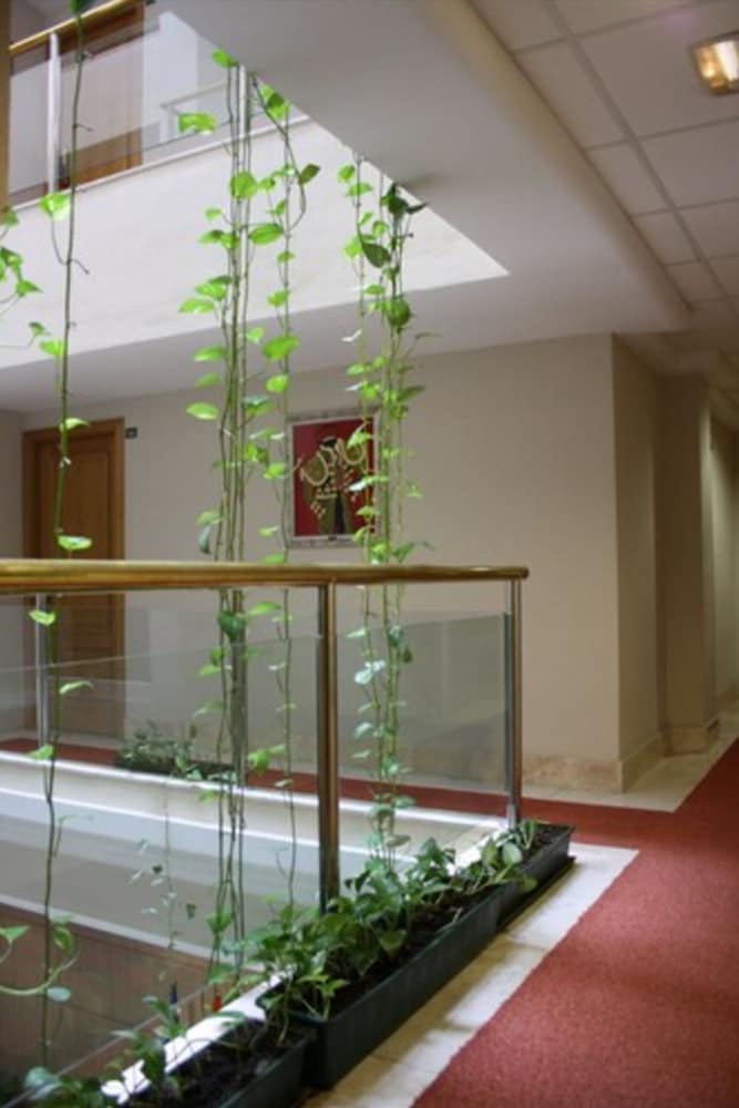 Фото Hotel Torremar