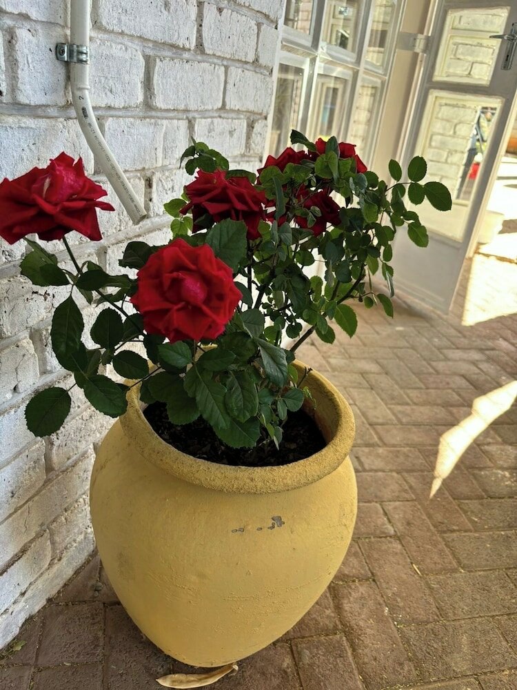 Фото Angels Haven Guesthouse