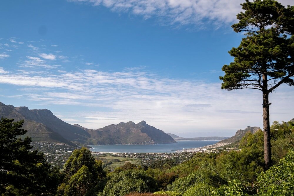 Фото Dreamhouse Guest House