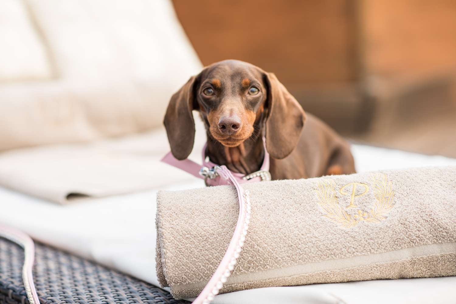 Фото Rome Cavalieri, A Waldorf Astoria Hotel