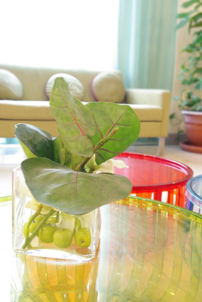 Фото Hotel Acadia Astotel