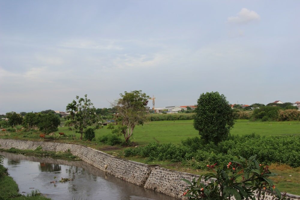 Фото Beji Ayu Homestay