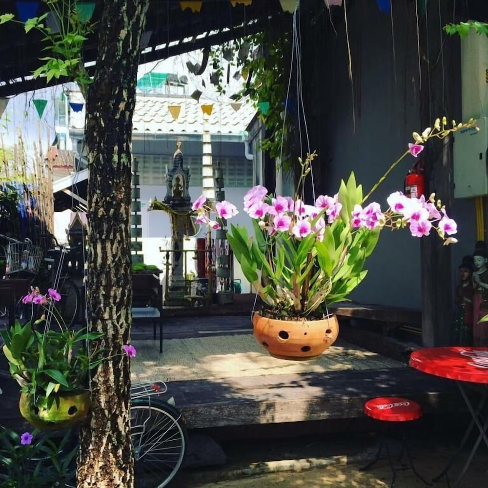 Фото Artist's Place Trat