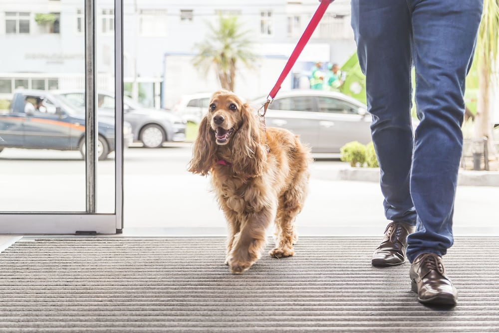 Фото Ibis budget Curitiba Centro