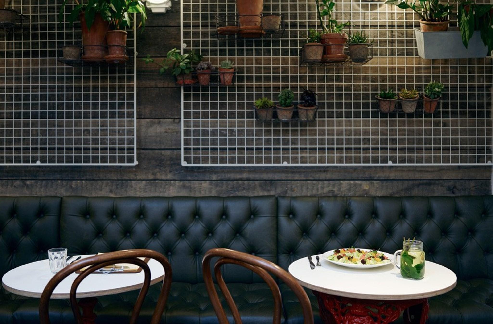 Фото Sonder Chelsea Green