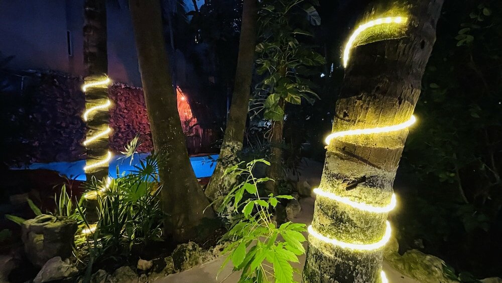 Фото Hotel Playa del Karma