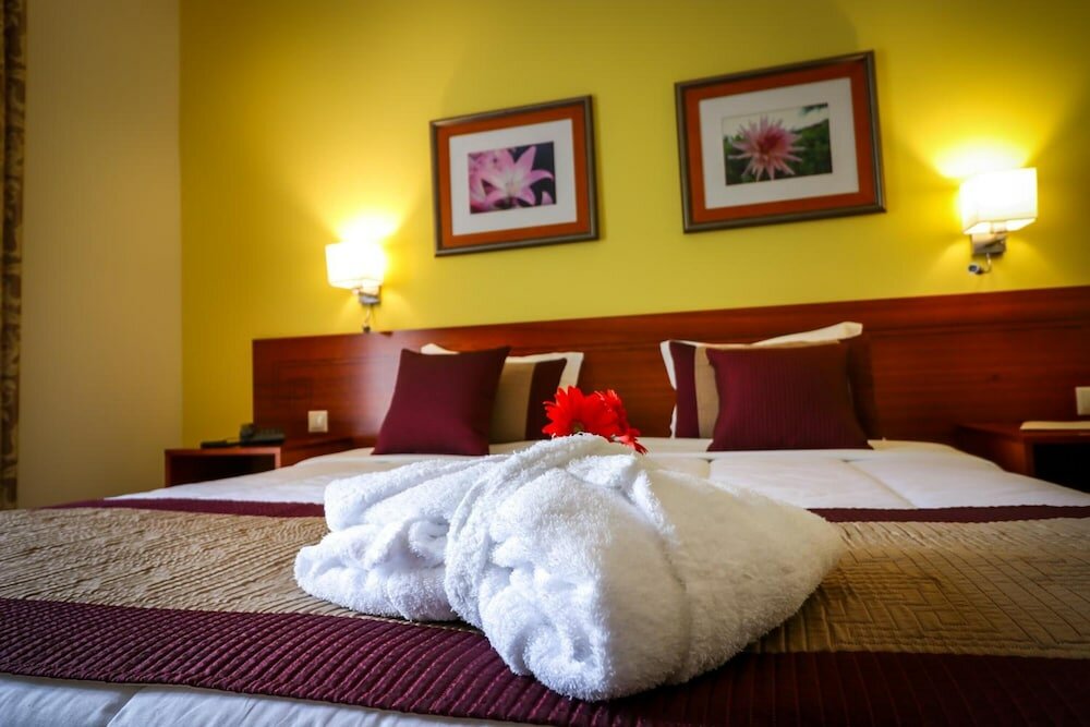 Фото Hotel Camões