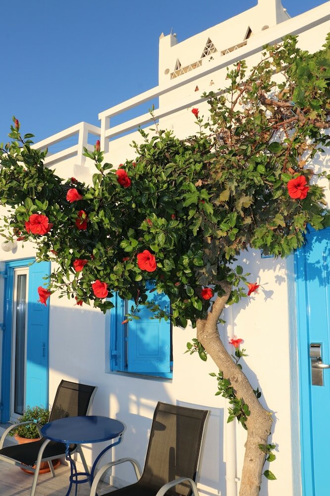 Фото Hotel Madalena