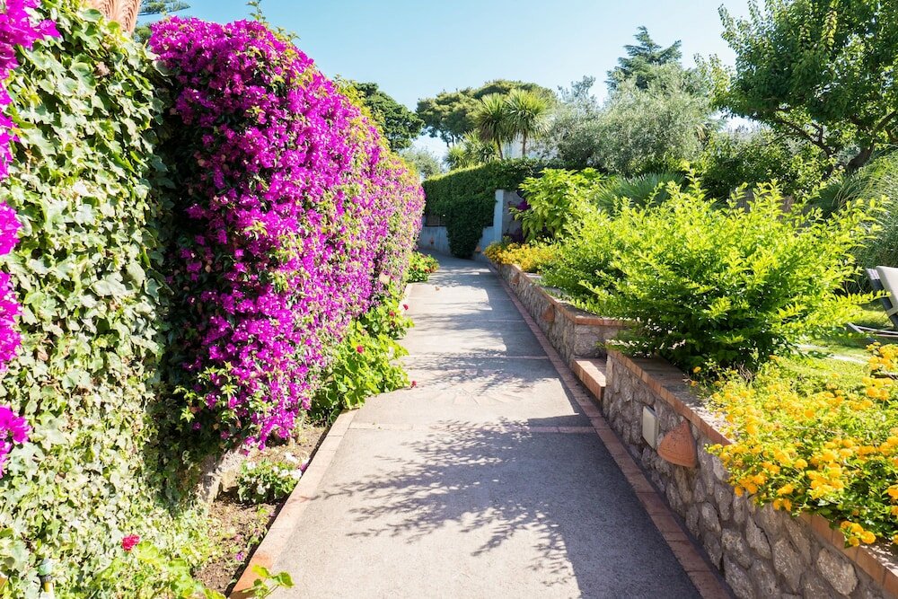 Фото Hotel Villa Ceselle