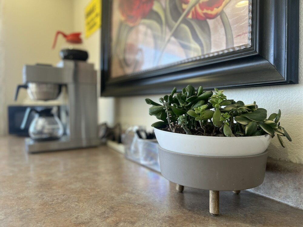 Фото Vagabond Inn Fresno