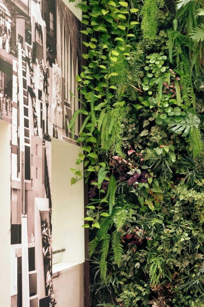 Фото Aida Marais